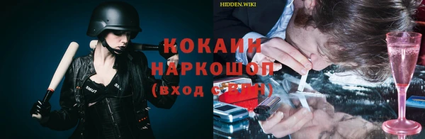 шишки Осташков
