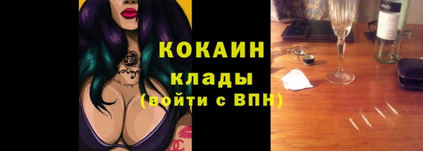 шишки Осташков