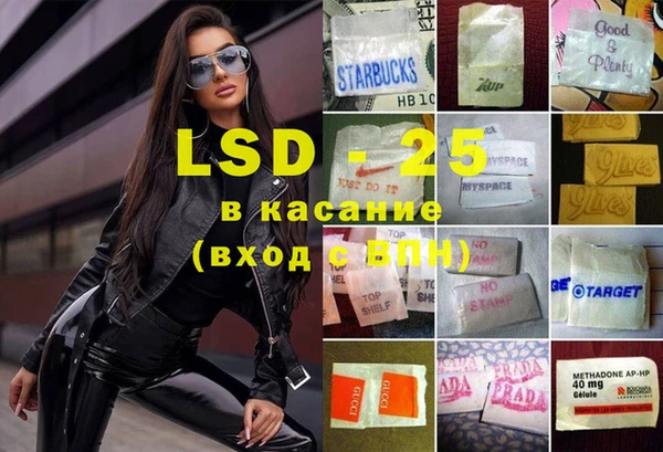 шишки Осташков