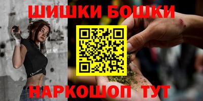 гашик Заводоуковск