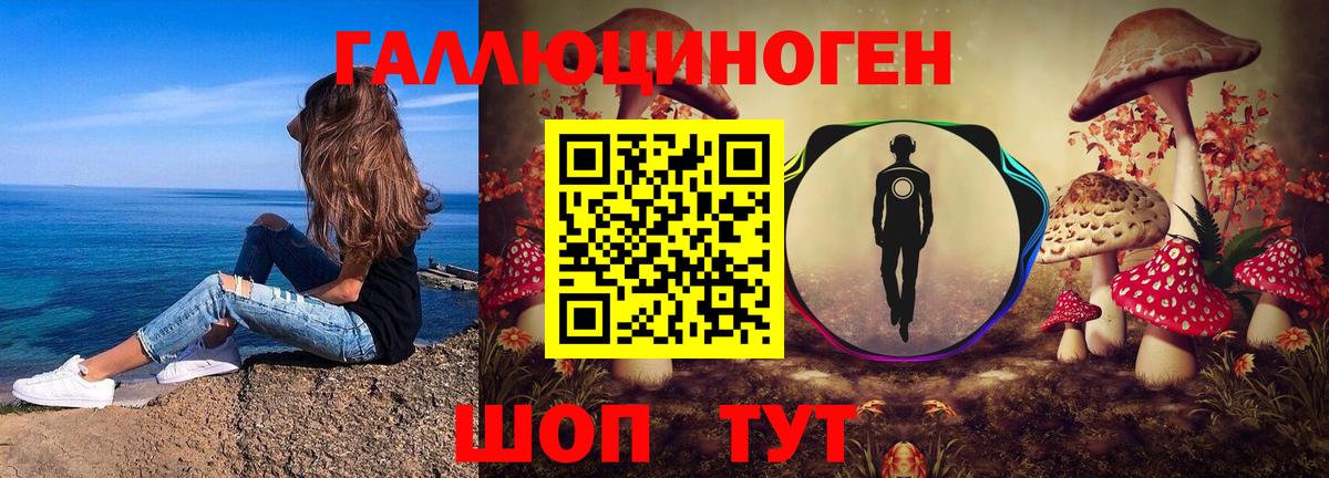 Галлюциногенные грибы Psilocybine cubensis  Вход с VPN  Крымск  Псилоцибиновые грибы прущие грибы 